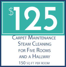 $125 Carpet Cleaning, for Five Rooms and a Hallway